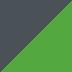 Gris Metallic Carbon / Vert Candy Lime Green